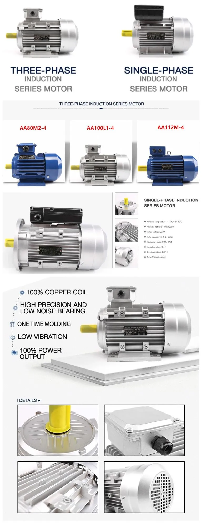 nema electric motors