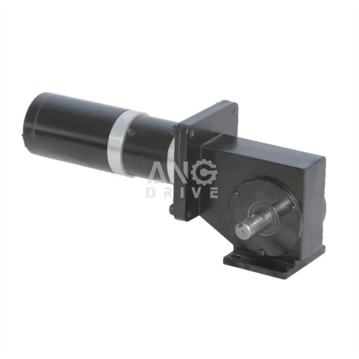low rpm worm gear motor