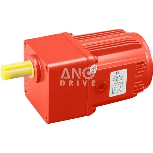 Động cơ nhỏ 20W