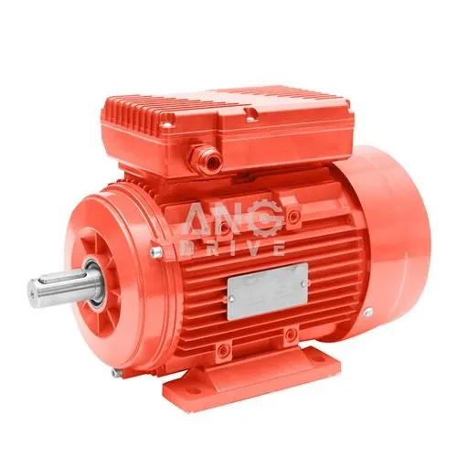 Động cơ điện IEC