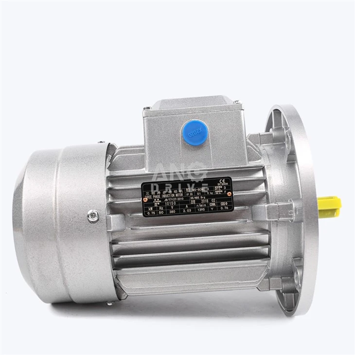 Động cơ bánh răng AC 2hp